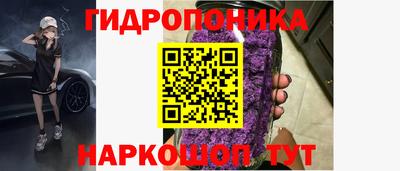 гидра Будённовск