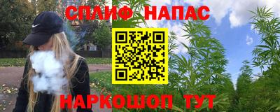 гидра Будённовск