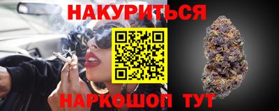 гидра Будённовск