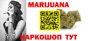 гидра Будённовск