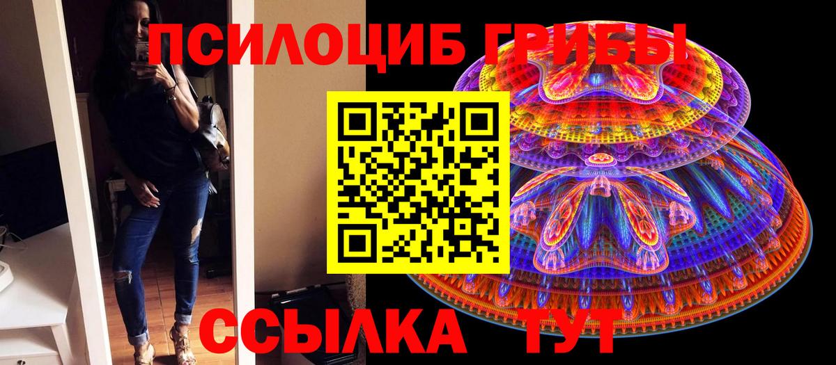Псилоцибиновые грибы Cubensis Холмск